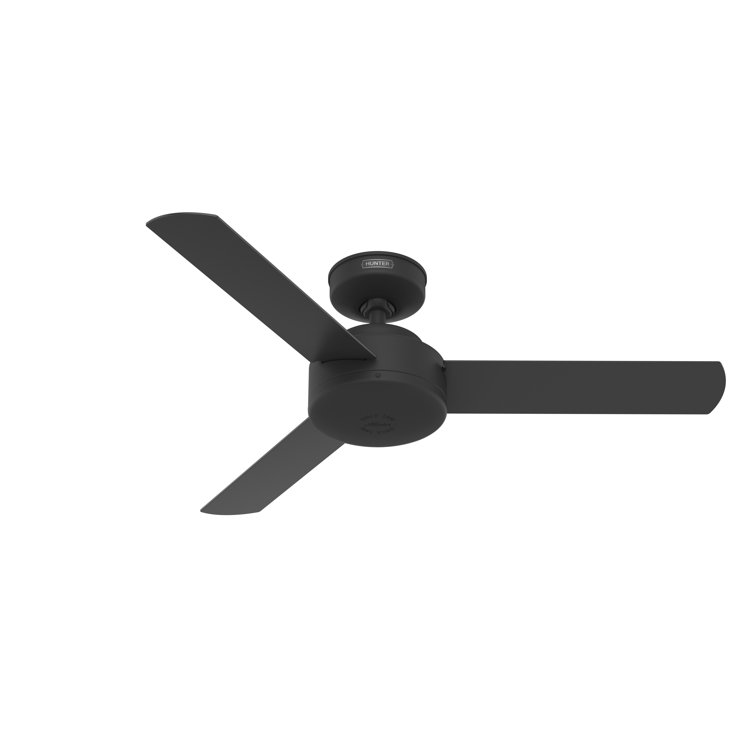 3 - Blade Ceiling Fan and Wall Control