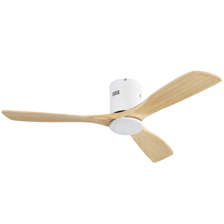 Ceiling Fan Without Lights