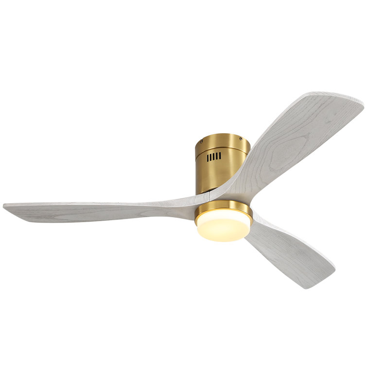 Ceiling Fan with LED Lights