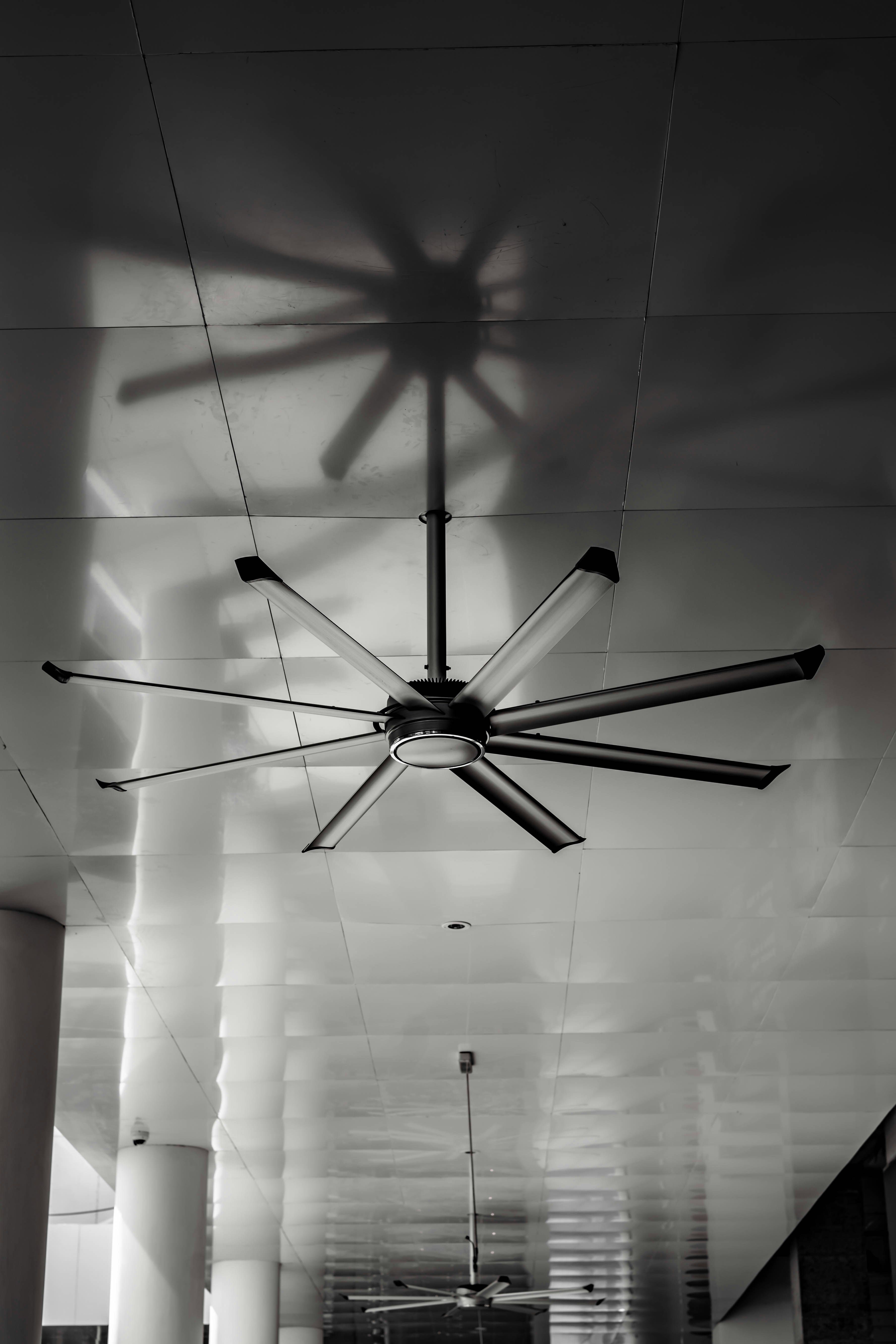 Ceiling Fan 